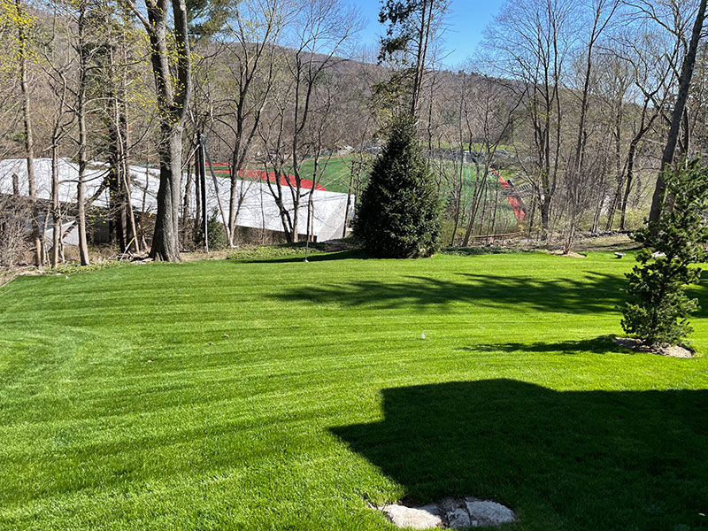 Lawn care in Easton - All Seasons Maintenance