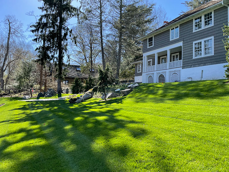 Danbury lawn care by All Seasons Maintenance