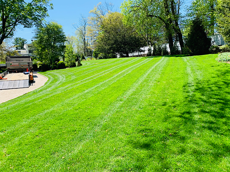 Lawn care in Fairfield by All Seasons Maintenance