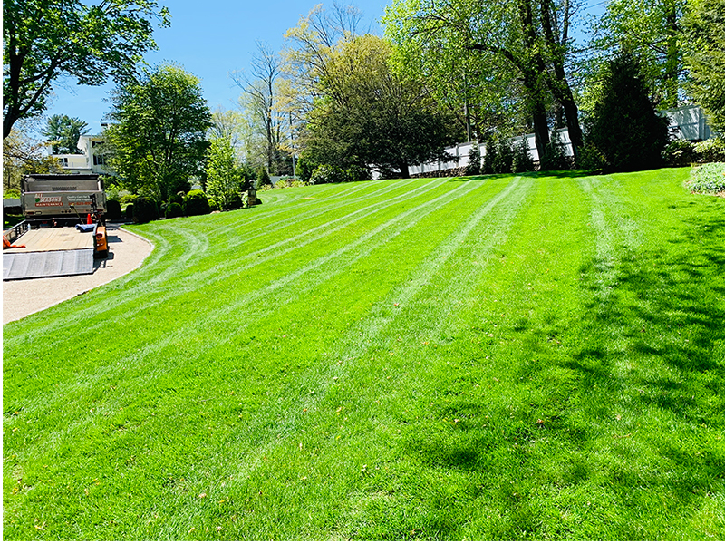Brookfield Lawn care by All Seasons Maintenance