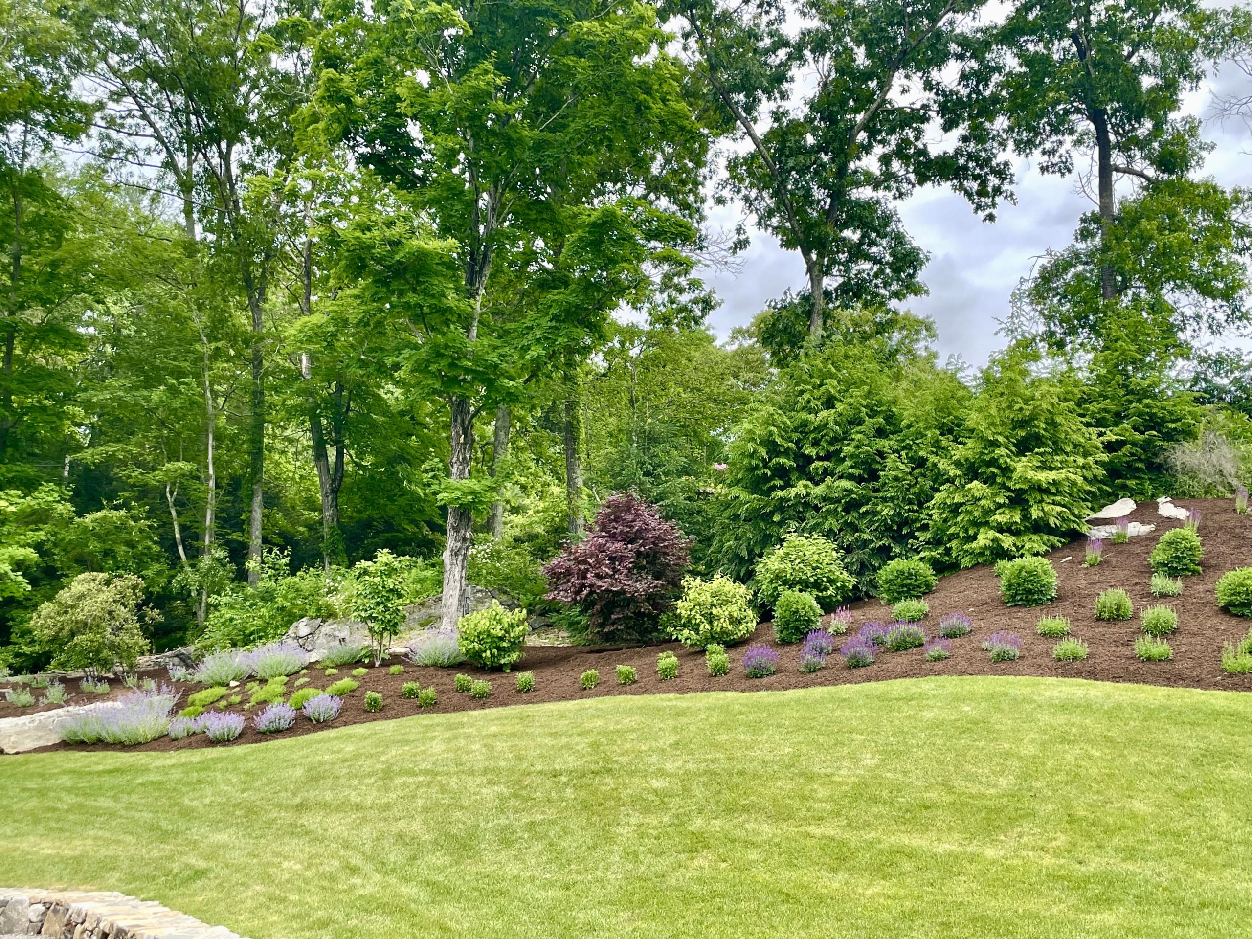 lawn care Woodbury